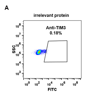 antibody-DME100081 TIM3 FLOW 293 A Fig2