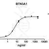 antibody-DME100092 BTN3A1 ELISA Fig1