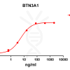 antibody-DME100093 BTN3A1 ELISA Fig1