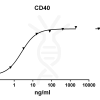 antibody-DME100102 CD40 ELISA Fig1