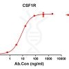 antibody-DME100106 CSF1R ELISA Figure 1