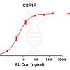 antibody-DME100108 CSF1R ELISA Figure 1