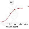 antibody-DME100109 B7 1 EILSA Figure 1