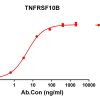 antibody-DME100115 TNFRSF10B ELISA Figure1