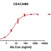 antibody-DME100122 CEACAM5 ELISA Figure1