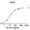antibody-DME100128 EGFR ELISA Fig1