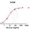 antibody-DME100133 HVEM ELISA Fig1