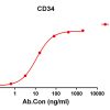 antibody-DME100134 CD34 ELISA Fig1