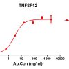 antibody-DME100141 TNFSF12 ELISA Fig1