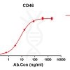 antibody-DME100145 CD46 ELISA Fig1