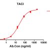 antibody-DME100151 TACI ELISA Fig1
