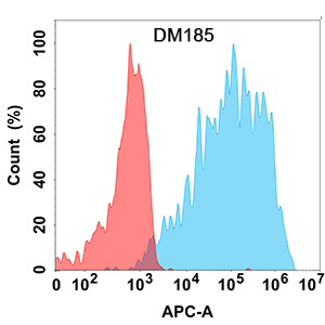 antibody-DME100185 VEGFR2 Flow Fig1