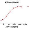 antibody-DME100199 NEFL89 400 ELISA Fig1
