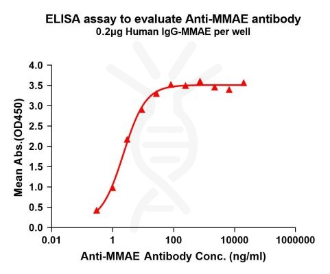 antibody-DME101003 MMAE Fig.1 Elisa 1