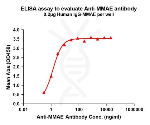 antibody-DME101004 MMAE Fig.1 Elisa 1