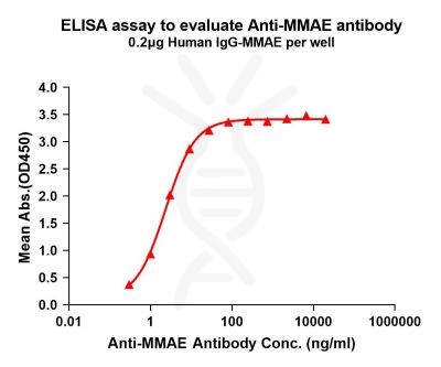 antibody-DME101005 MMAE Fig.1 Elisa 1