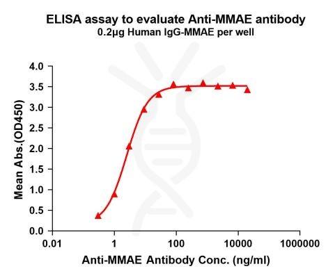 antibody-DME101006 MMAE Fig.1 Elisa 1