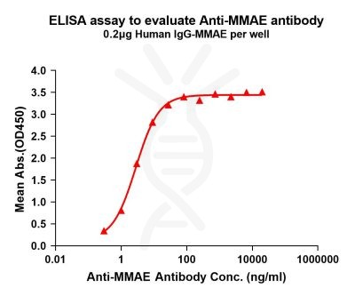 antibody-DME101007 MMAE Fig.1 Elisa 1