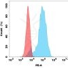 antibody-dmc100368p gpr75 fc1