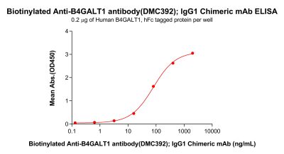 antibody-dmc100392b b4galt1 elisa1