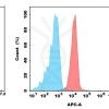 antibody-dmc100637 cdh17 fc1