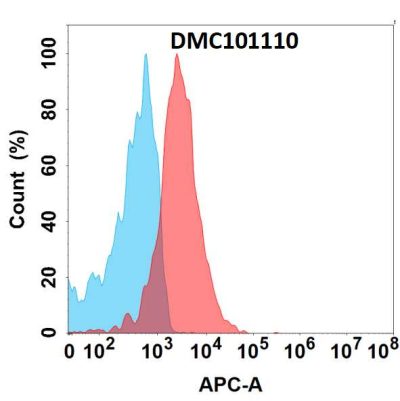 antibody-dmc101110 flt3 fc1