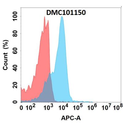 antibody-dmc101150 cd19 fc1