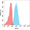 antibody-dmc101338 sez6 fc1