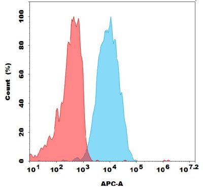 antibody-dmc101338 sez6 fc1