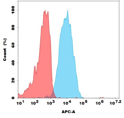 antibody-dmc101338 sez6 fc1