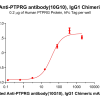antibody-dmc101351b ptprg elisa1