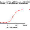 antibody-dmc101532 icos elisa1
