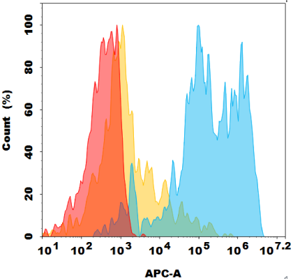 antibody-dmc101767 cldn18.2 fc2