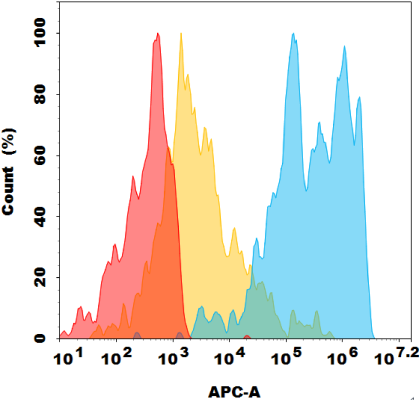 antibody-dmc101768 cldn18.2 fc2