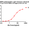 antibody-dmc101854 bmp6 elisa1