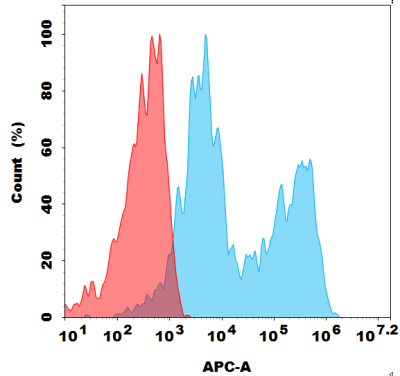 antibody-dmc101862 adrb1 fc1