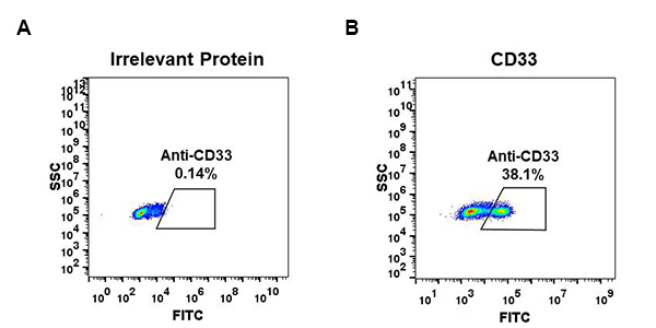 dme100077-cd33-fc1.jpg