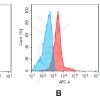 antibody-dme100091b gprc5d fc1