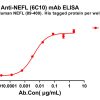 antibody-dme100790 nefl6c10 elisa1
