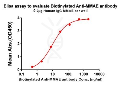 antibody-dme101006b mmae elisa1