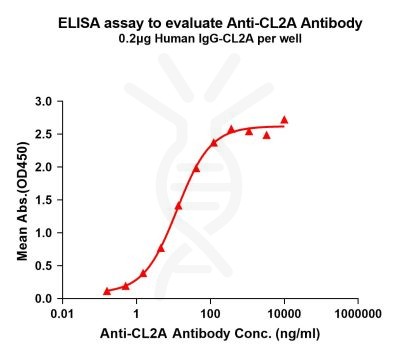 antibody-dme101022 cl2a elisa1