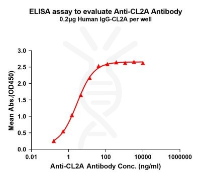 antibody-dme101023 cl2a elisa1