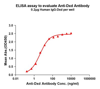 antibody-dme101024 dxd elisa1