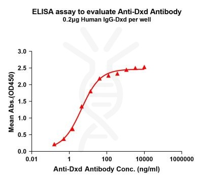 antibody-dme101024 dxd elisa1