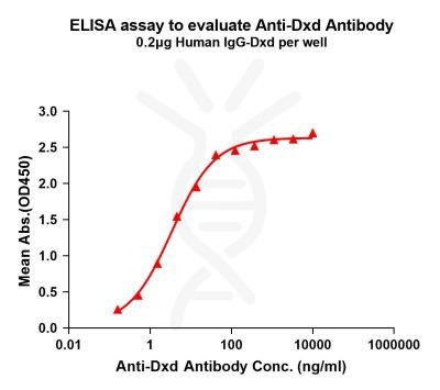 antibody-dme101025 dxd elisa1