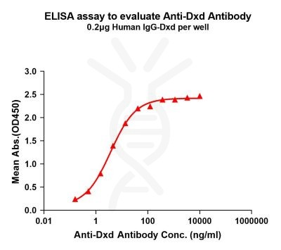 antibody-dme101026 dxd elisa1