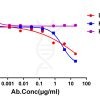 antibody-dme101125 feline il31 elisa1
