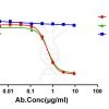 antibody-dme101126 canine il31 elisa1