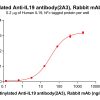 antibody-dme101184b il19 elisa1