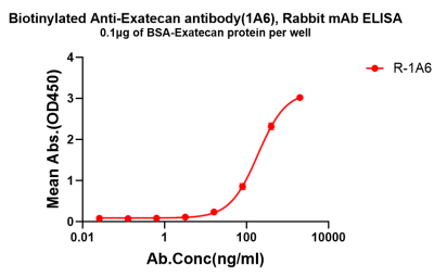 antibody-dme101319b exatecan elisa1